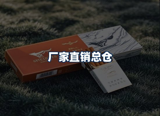 专业团队办公环境
